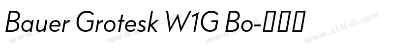 Bauer Grotesk W1G Bo字体转换 Bauer Grotesk W1G Bo字体转换